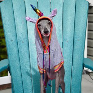 "Unconditional Love" Unicorn Pride Hoodie